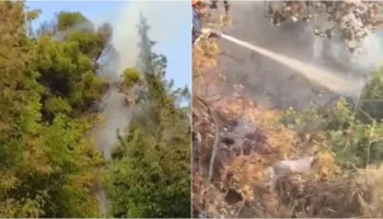 Zjarr në zonën e Ujit të Ftohtë në Vlorë, flakët përfshijnë sipërfaqen me pisha