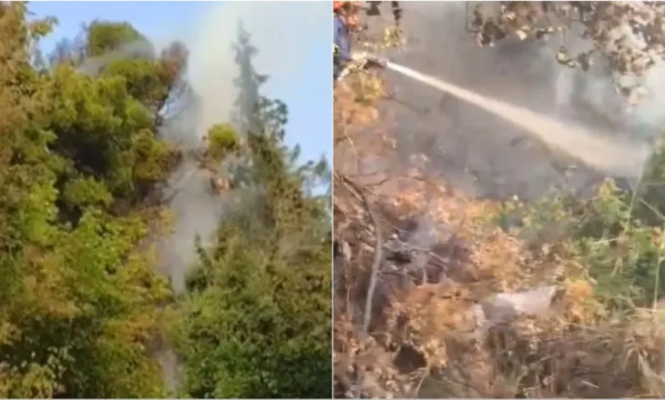 Zjarr në zonën e Ujit të Ftohtë në Vlorë, flakët përfshijnë sipërfaqen me pisha