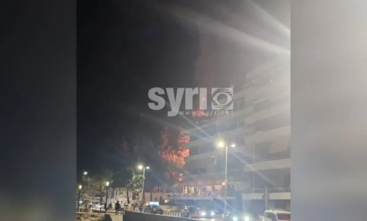 Zjarr në zonën e Ujit të Ftohtë, pranë tunelit në Vlorë