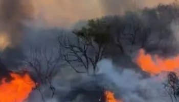 Zjarr pranë pusit të naftës dhe nënstacionit elektrik në Mallakastër (VIDEO)