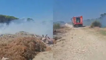 Zjarr pranë zonës pyjore në Darëzezë të Fierit, ndërhyrja e shpejtë e zjarrfikësve shmang përhapjen