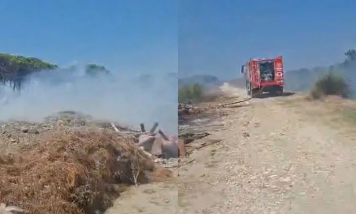 Zjarr pranë zonës pyjore në Darëzezë të Fierit, ndërhyrja e shpejtë e zjarrfikësve shmang përhapjen