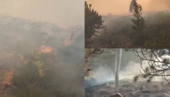 Zjarr prej 3 ditësh në malin e Tërbunit, mungon ndërhyrja nga ajri