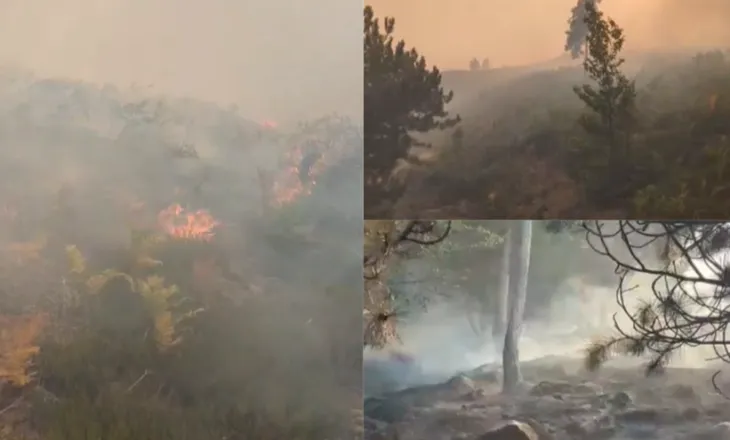 Zjarr prej 3 ditësh në malin e Tërbunit, mungon ndërhyrja nga ajri