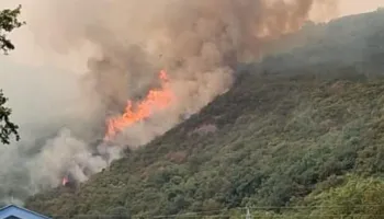 Zjarre masive në Ulqin dhe Herceg Novi