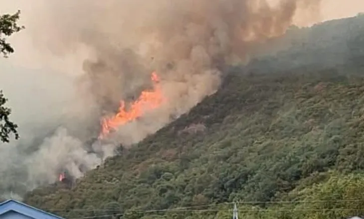 Zjarre masive në Ulqin dhe Herceg Novi