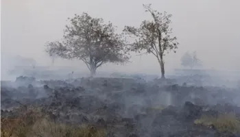 Zjarre rekord në Belgjikë, digjen 1.600 hektarë, banorët largohen nga banesat! BE dërgon avionë dhe helikopterë