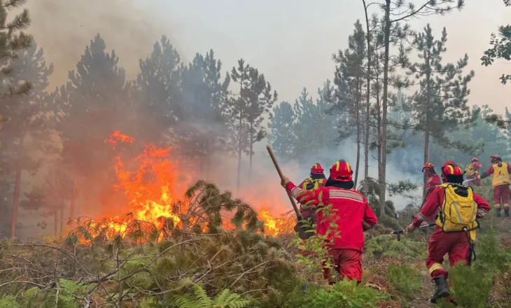 Zjarret/ 43 vatra në 24 orë, 10 ende aktive, flakët mbajnë në alarm disa zona të vendit