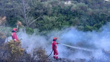 Zjarret e fuqishme në vend/ Ministria e Mbrojtjes, bën bilancin: 227 forca dhe 16 mjete në terren, ndërhyrje nga ajri