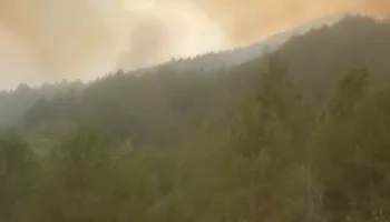 Zjarret jashtë kontrollit në Pukë, banorët e fshatit Gojan i Madh urdhërohen të evakuohen