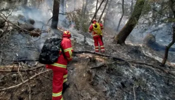 “Zjarret kanë pasoja të mëdha ekonomike”/ Vuksani, nuk ‘kursen’ akuzat: Qeveria po e merr shumë lehtë rrezikun
