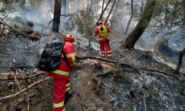 “Zjarret kanë pasoja të mëdha ekonomike”/ Vuksani, nuk ‘kursen’ akuzat: Qeveria po e merr shumë lehtë rrezikun