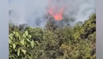 Zjarret kërcënojnë edhe pyjet e Pukës, vatër flakësh në kurorën me pisha! Shuhet në kohë, dyshohet e qëllimshme