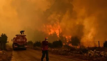 Zjarret në Greqi/ Gjendet i vdekur çifti i të moshuarve! Tetë persona të tjerë të lënduar