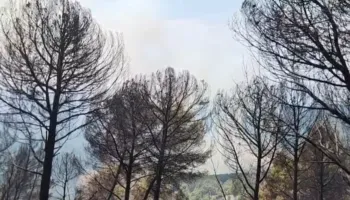 Zjarret në Mallakastër, vihet nën kontroll vatra pranë Cfirit, flakët avancojnë drejt Ngraçanit