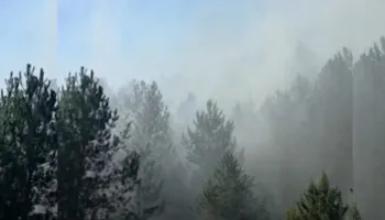 Zjarret në Pukë/ Qetësohet situata në malin e Tërbunit, flakët përhapen në Gjegjan-Gojan