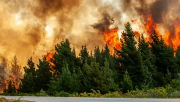 Zjarret në Shqipëri/ Ministria e Mbrojtjes: 7 vatra aktive, mbi 400 forca në terren dhe 3 helikopterë