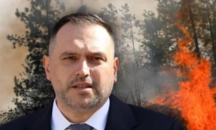 Zjarret në Shqipëri po i ndezin ‘armiqtë e huaj’? Flet ministri i Mbrojtjes