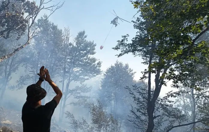 Zjarret në vend, “Mbrojtja”: Tre vatra ende aktive! Helikopterët në operacione në Tiranë, Bulqizë dhe Dibër