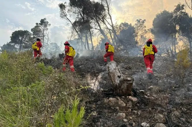 Zjarret në vend/ Ministria e Mbrojtjes: Përmirësohet situata, 4 vatra vijojnë të jenë aktive