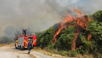 Zjarret në vend, Ministria e Mbrojtjes: Pesë vatra ende aktive. Vijon beteja me flakët në Malin e Dajtit