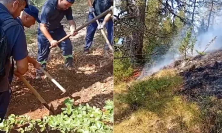 Zjarret përfshijnë Dibrën! Tre vatra vijojnë aktive, flakët pranë banesave, rrezik për përhapje drejt Matit