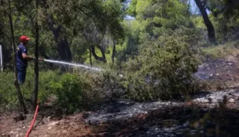 Zjarret përfshijnë Greqinë, ekipe të specializuara, zjarrfikëse dhe avionë vihen në dispozicion