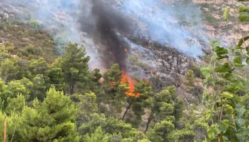 Zjarret përfshijnë vendin, disa vatra ende aktive nga Dajti në Vilëz