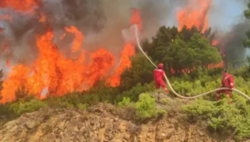 Zjarret po djegin Evropën, ekspertët paralajmërojnë: Do të shtohen me 39% në dekadat e ardhshme! Në rastin më të keq…