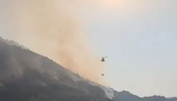 Zjarret “pushtojnë” Shqipërinë/ 31 vatra të regjistruara, 11 ende aktive, në terren qindra forca