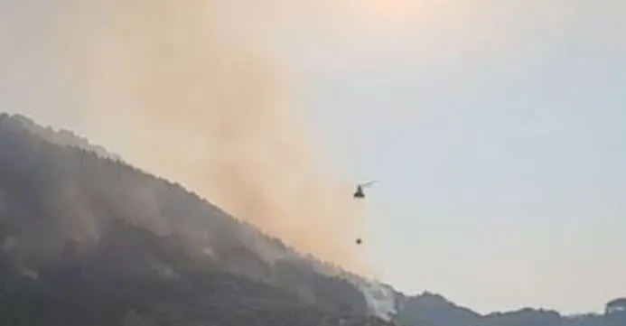 Zjarret “pushtojnë” Shqipërinë/ 31 vatra të regjistruara, 11 ende aktive, në terren qindra forca