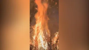 Zjarrfikësit në betejë me flakët, shuhet pas 8 orësh zjarri në Gjirokastër, vihet nën kontroll edhe vatra në Palasë