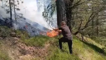 Zjarri del jashtë kontrollit në Bulqizë, vështirësohet ndërhyrja e zjarrfikëseve