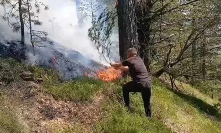 Zjarri del jashtë kontrollit në Bulqizë, vështirësohet ndërhyrja e zjarrfikëseve