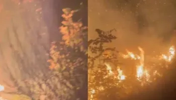 Zjarri del jashtë kontrollit në Lurë, rrezikohen shtëpitë e zonës