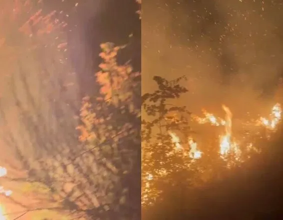 Zjarri del jashtë kontrollit në Lurë, rrezikohen shtëpitë e zonës