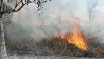 Zjarri del jashtë kontrollit në Mallakastër, flakët afrohen drejt fshatit Drenije