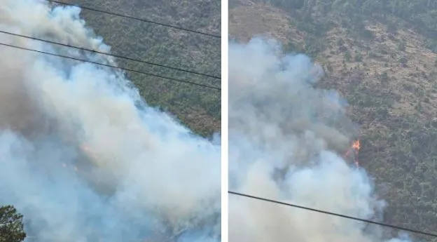 Zjarri del jashtë kontrollit në Mat/ Flakët përfshijnë pyllin e Trodhenit, era e fortë vështirëson ndërhyrjen! Nis operacioni nga ajri për izolimin e vatrës