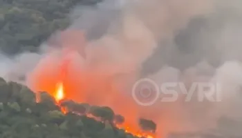 Zjarri djeg masivin pyjor në Peshtan të Fierit, neutralizohen flakët