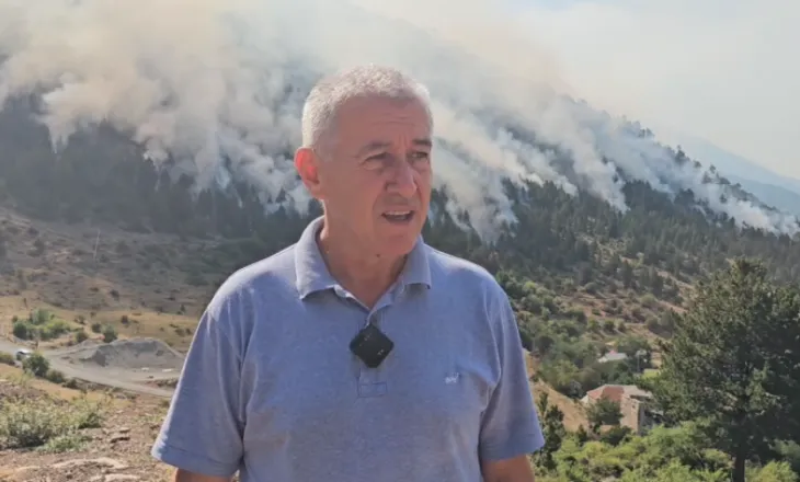 Zjarri është i qëllimshëm/ Shehu: Flakët rrezikojnë banesat, autoritetet të zbardhin përgjegjësit