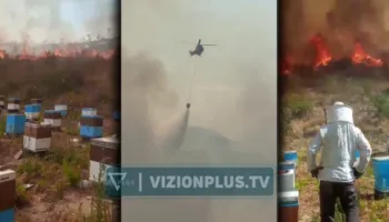Zjarri jashtë kontrollit në Finiq, rrezikohen banesat, nuk kursehen as kosheret e bletëve