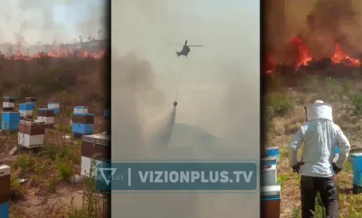 Zjarri jashtë kontrollit në Finiq, rrezikohen banesat, nuk kursehen as kosheret e bletëve