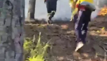 Zjarri kërcënon “kurorën e gjelbër” të Pukës, dyshohet për zjarrvënie të qëllimshme