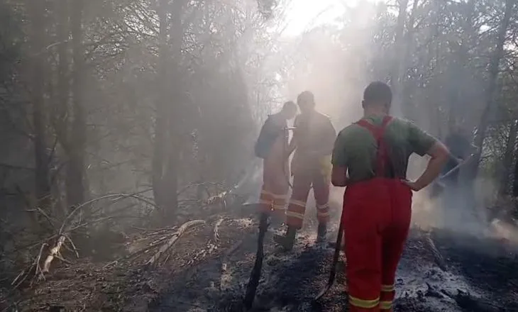 Zjarri në Drenie të Patosit dhe në zonën e Mallakastrës, më shumë se 40 forca po punojnë për shuarjen