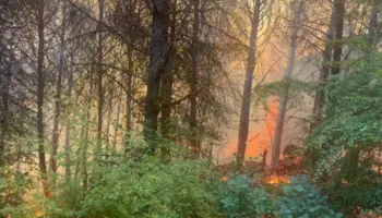 Zjarri në Drenije të Patosit avancon drejt Gjinoqarës dhe Ngracies, ndërhyrje edhe nga ajri