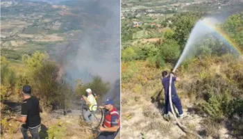 Zjarri në Drenovë të Mallakastrës vihet nën kontroll pas disa orësh, digjen rreth 10 hektarë me ullinj!