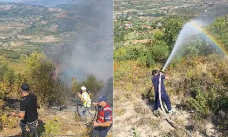 Zjarri në Drenovë të Mallakastrës vihet nën kontroll pas disa orësh, digjen rreth 10 hektarë me ullinj!
