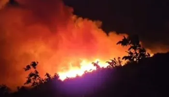Zjarri në Lundër/ Zjarrfikësit e Elbasanit i bashkohen operacionit për shuarjen e flakëve