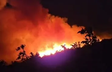 Zjarri në Lundër/ Zjarrfikësit e Elbasanit i bashkohen operacionit për shuarjen e flakëve