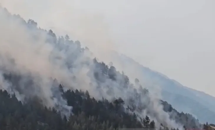 Zjarri në Lurë bëhet i rrezikshëm, flakët po përhapen në thellësi të parkut! Digjen mbi 300 hektarë, 4 mjete fluturuese në aksion